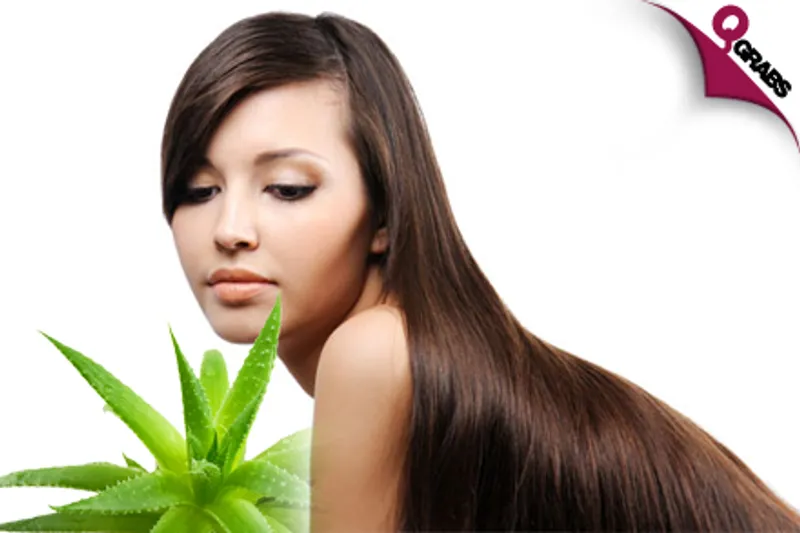 For QR199 Get a Full Body Wax, Upper Lip Fix & Eyebrow Shape OR for QR360 get 6 Aloe Vera Hair Treatment Sessions! (QR445/QR720 Value)